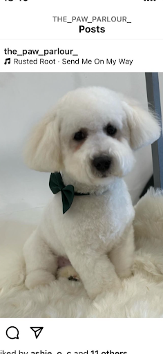 The Paw Parlour listing image