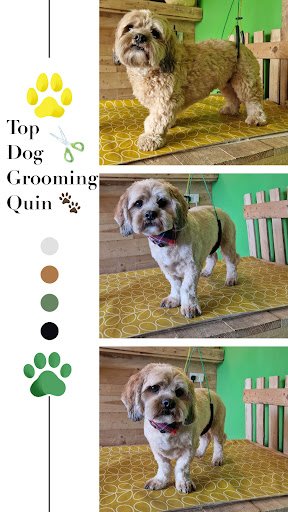 Top Dog Grooming Salon listing image