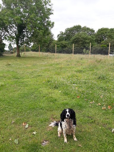 Topdogkennels listing image