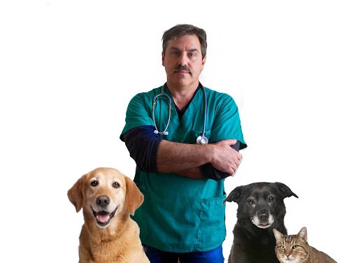 Tullow Vet-veterinary Clinic listing image