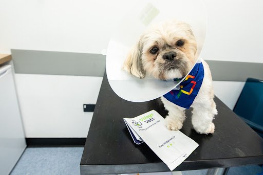 Village Vets Rathgar listing image