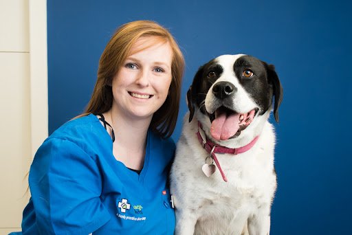 Village Vets Stillorgan listing image