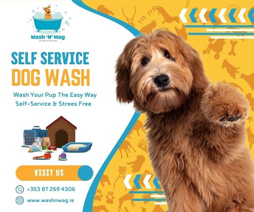 Wash N Wag Ireland - Tuam listing image