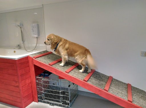 Wet & Ruff Doggie Services listing image