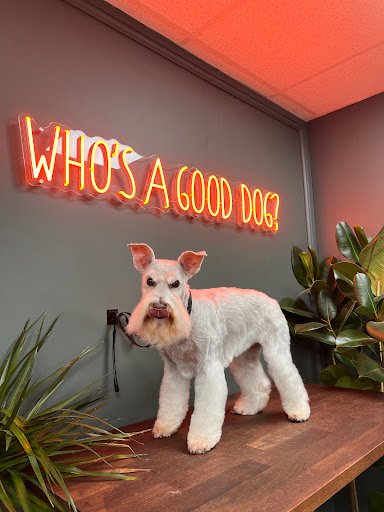 WHO’s a Good Dog? listing image
