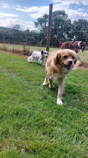 Woof Trails Boarding Kennels listing image