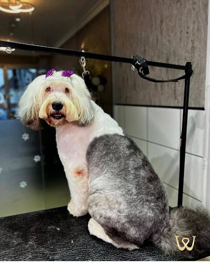 Woofglam listing image